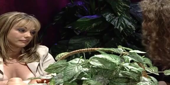 "Shayla LaVeaux, Chandler, Lita Chase, Tanya Danielle, Allysin Chaynes, Bunny Luv, Felecia, Summer Storm, Monica Mayhem, Phyllisha Anne (as Casey Brooks), Nina Ferrari, Samantha Sterlyng, August Night, Dayton Rain, Noname Jane (as Violet Blue), Deser