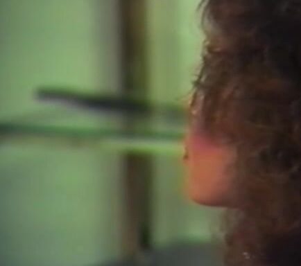 "Amber Lynn, Bunny Bleu, Joi, Lisa De Leeuw, Nikki Randall, Tantala Ray, Tracy Duzit, Craig Roberts, Jerry Davis, Steve Powers, Bobby Hollander" Classic Personal Touch III Arrow Film & Video