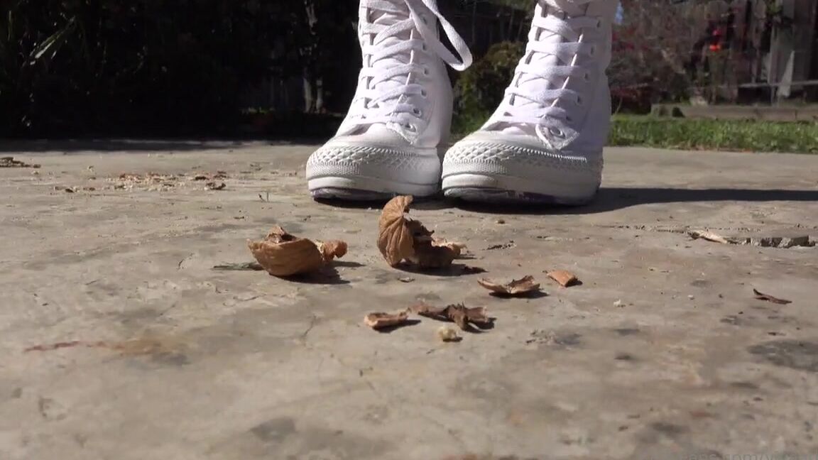 Vivaathena Nut Crush With Con