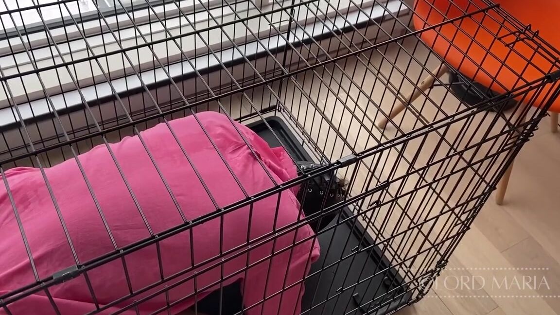 Lord Goddess Maria Onlyfans A Cage Is Exactly Where A House Slave Needs To Be Most Of The Time And Is Integral To Proper Trai 1P