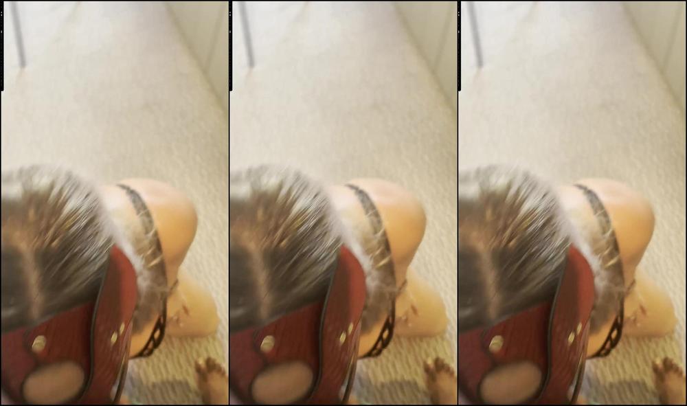 Thedongkinger Your Women Can T Hide Their Bbc Addiction Forever Sooner Or Later They Will Emerge From