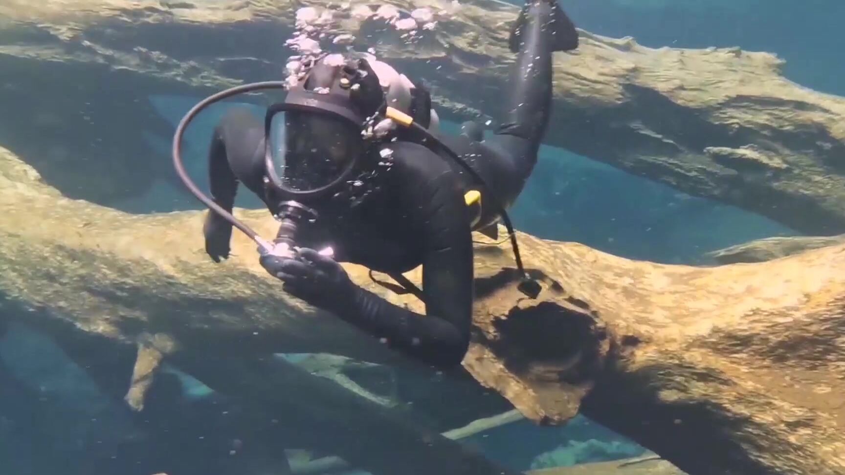 Vickydevika Was A Great Scuba Year Best Of Scuba