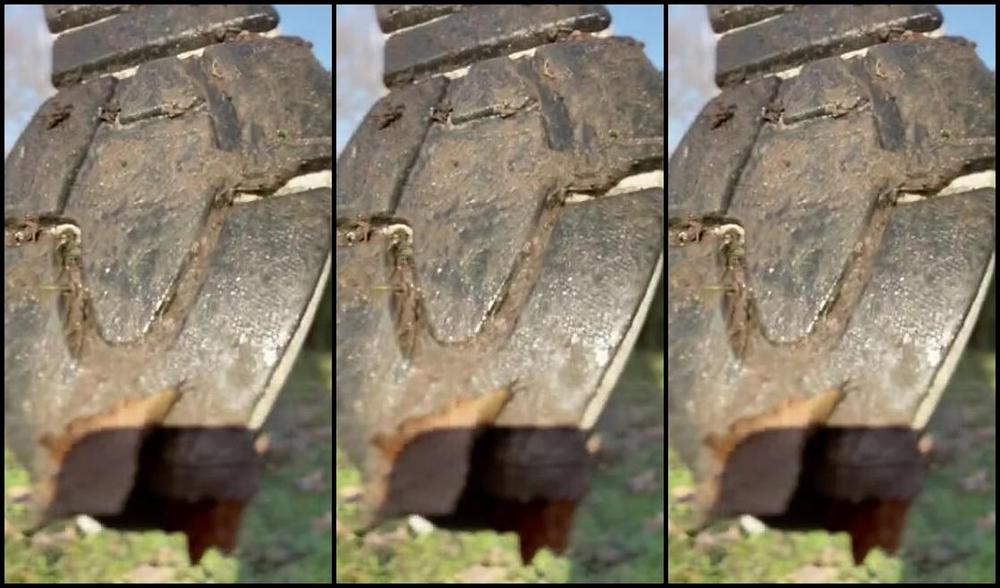 Daddy Serena Nicknamed All4Serenab Femdom 01 20 2022 Onlyfans Video The Only Pov Fit For A Trainer Licking Slut Mutt Like You