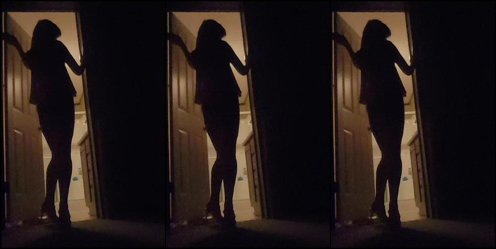 Frostyprincess Girlfriend Silhouette