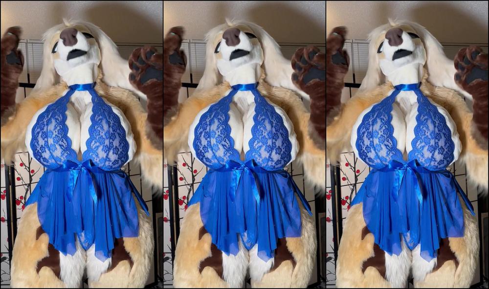 Angel Pups 785664604 Showing Off The New Lingerie Thanks For Spoiling Celine Bog 01 E7C18Bbd 5256 42Ec A201 D9E353F06140