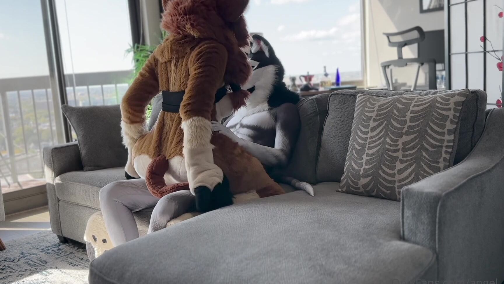 Angel Pups 1320002427 Can T Miss Full Video Friday Here S Jessie Having Some Fun 01 0Hujbusvooh8Cpcqg98Tg Source