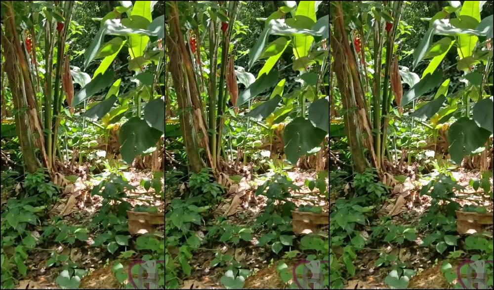 Travelling Peach 2886224348 05 27 2023 Let S Find The Beach Together Hehe