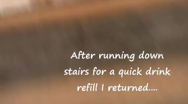 Bareback,Creampie,Double Vaginal,BBC,Interracial lupeandmicha dvp creandie special ManyVids