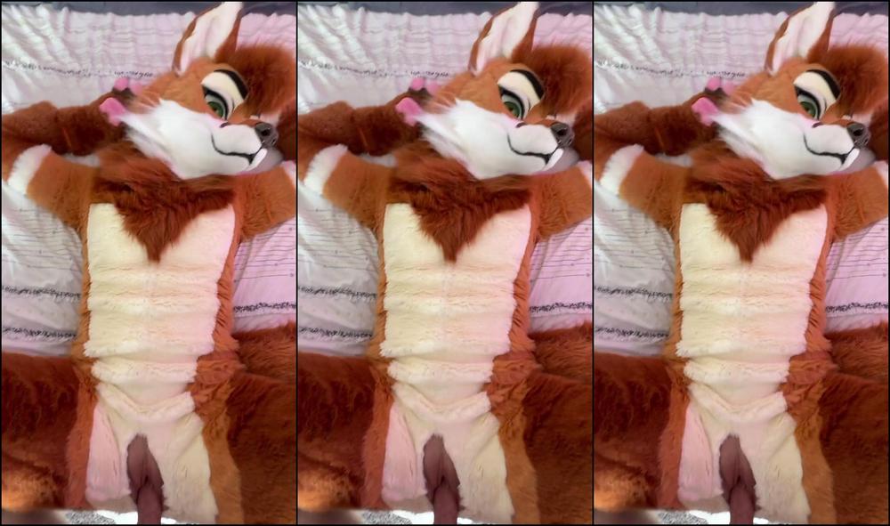 Angel Pups 1561719131 Please Help Me With This Heat 02 0Hyweiwngq10Fa707Snnl Source