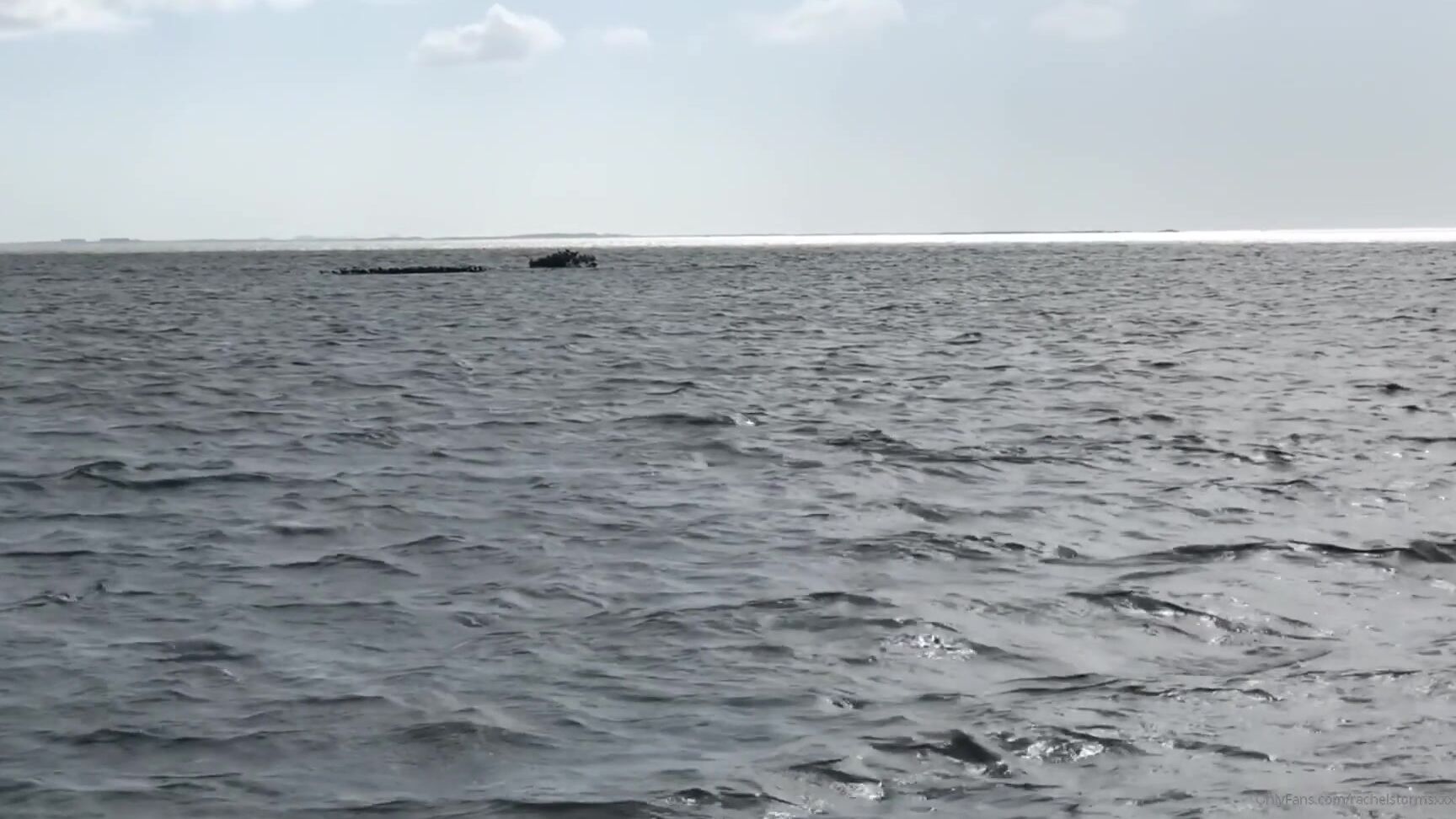 Rachelstormsxxx Pretty Much The Only Time I Was Able To Record The Dolphins From The Boat I Wasn T Abou