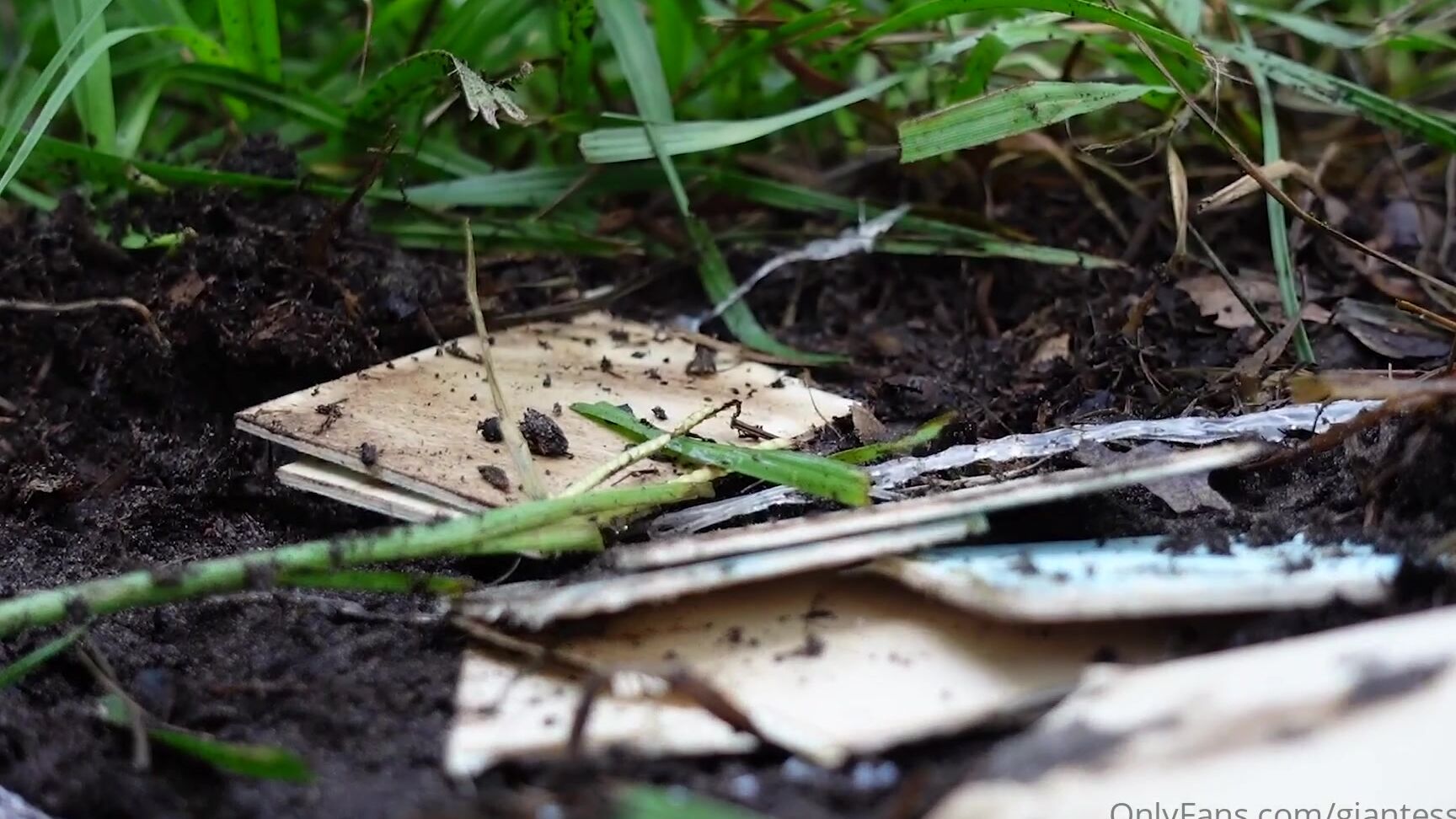 Giantessclips Mother Nature Starring Mia Hope For More Mia Visit Https Onlyfans Com Miaxhope Tags