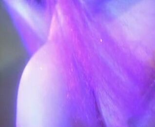 Space Pron 2001 A Big Bust Odyssey Xavier Production