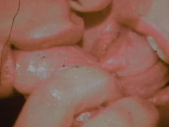 "Vanessa Del Rio" Anal, Classic, All Sex, Vintage Fucked. n Historic erotica