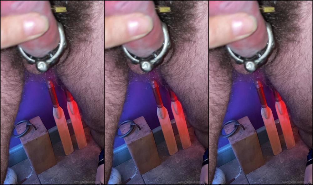 Goddess Gynarchy Kalis Teeth Ring Padlocked Onto His Cock The Key Han