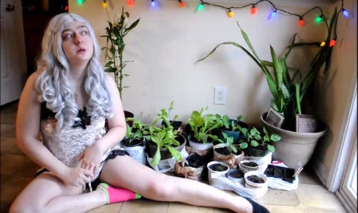 G Dshideouscreation Q Amp A Pt Talking About My Plants