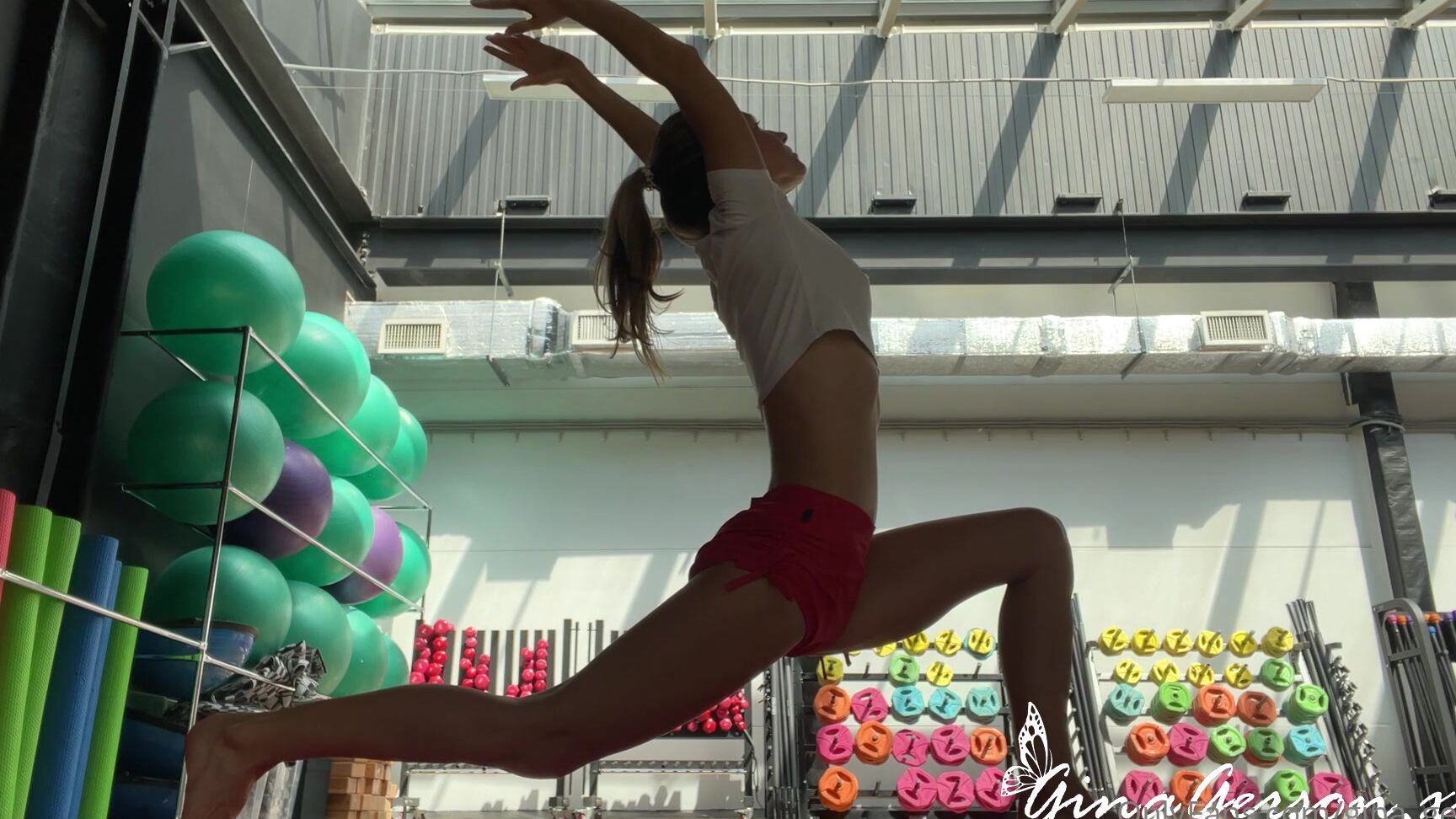 Gina Gerson My Daylight Workout