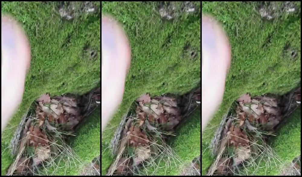 Neolasoles Nicknamed Neolasoles Onlyfans Showing My Toes And Soles At The End