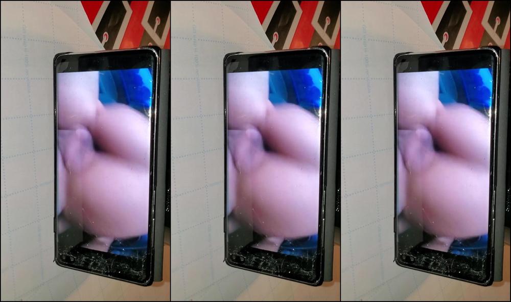 edenraynes-20-12-2019-108496985-look-at-how-much-i-came-and-how-far.-almost-hit-my-puppies-kennel-which-was-6ft-away