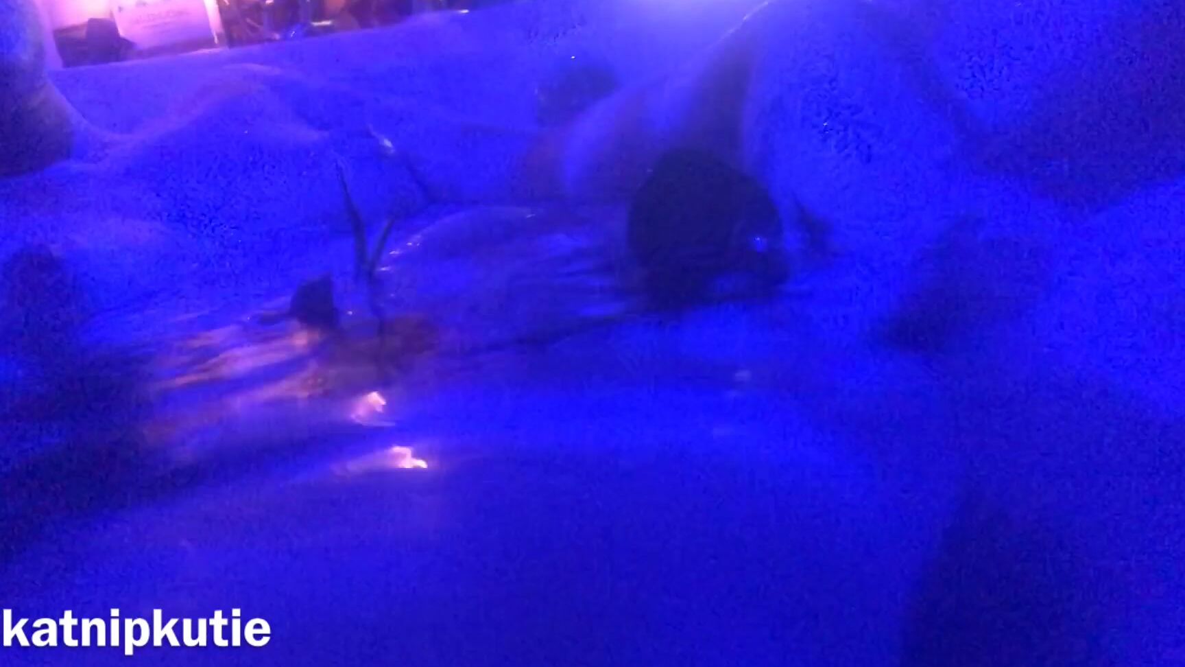 Kactuskutie Min Full Length Video Touching Myself In The Bathtu