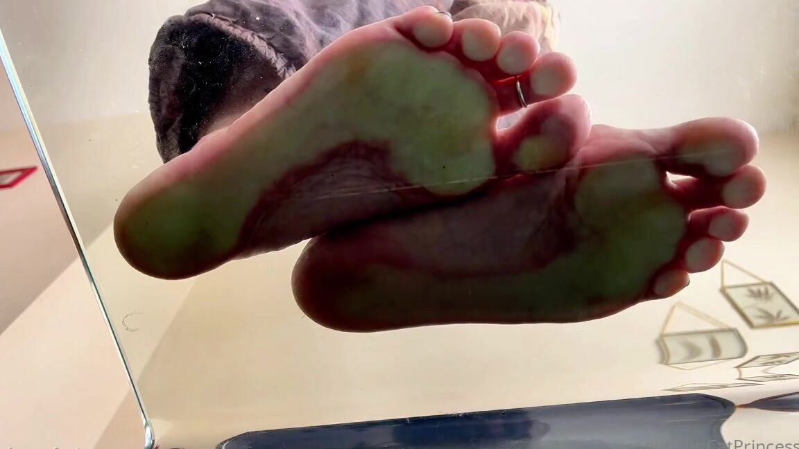Catprincessfeet Onlyfans Step On You Extreme Pov Giantess With Perfect Soles