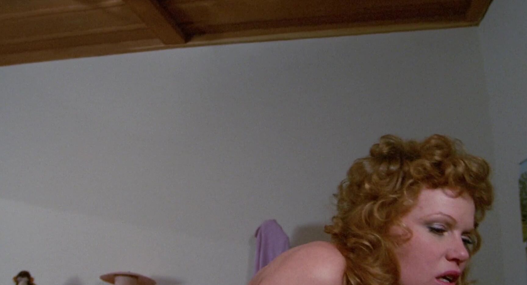 "Colleen Brennan, Nina Hartley, Patti Petite, Rita Ricardo, Sharon Mitchell, Blair Harris" All Sex Getting Personal Caballero Home Video