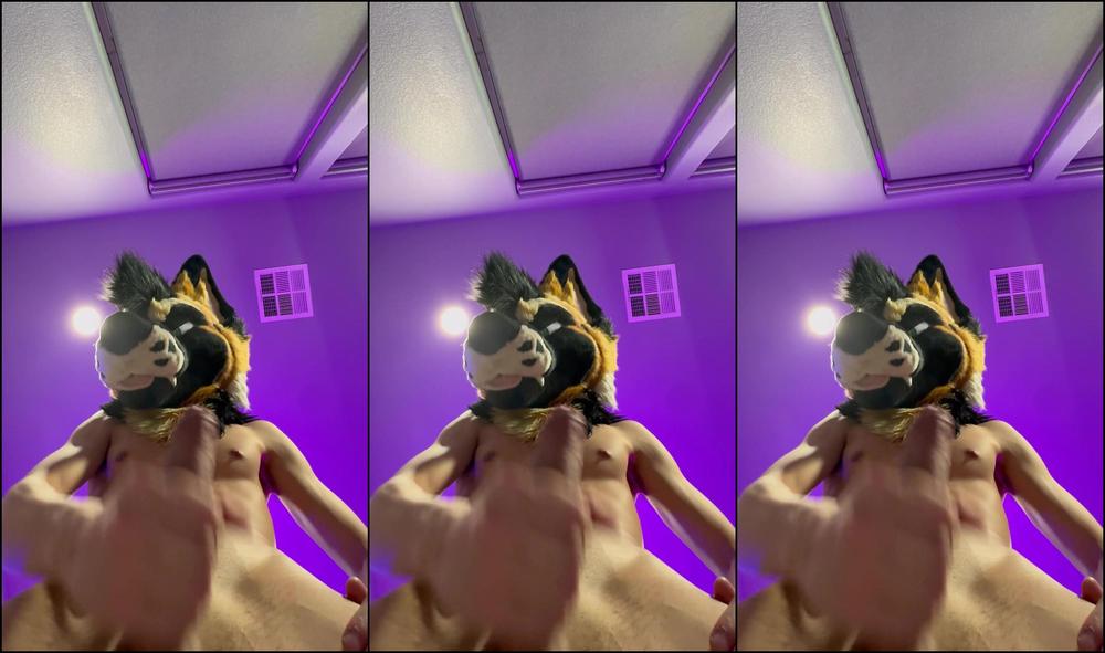 Palacewolf 865414692 Enjoying The View Small Teaser Full Video Out Soon 01 0Hl8L8Sjkf2E1Gergvuiv Source