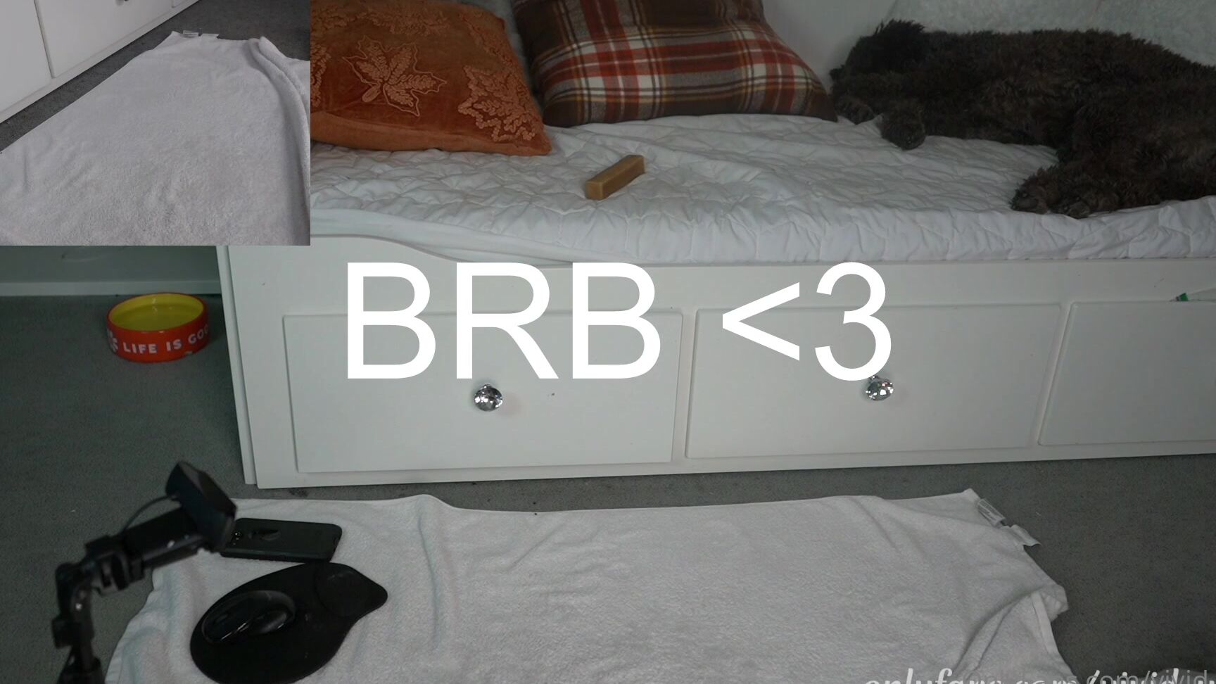 Vivid Whit Sugar Waxing D Hd Livestream Recording