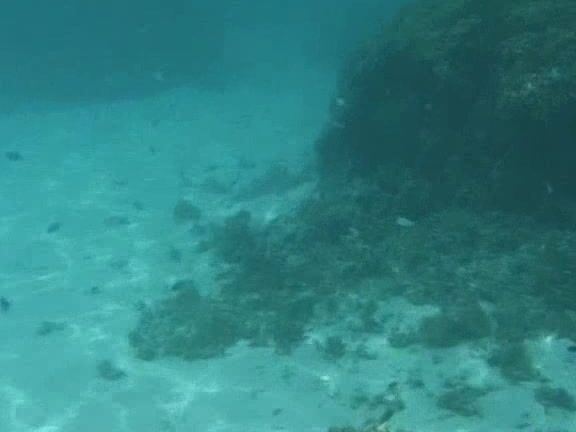 1 On 1 Katja Kean That S Life