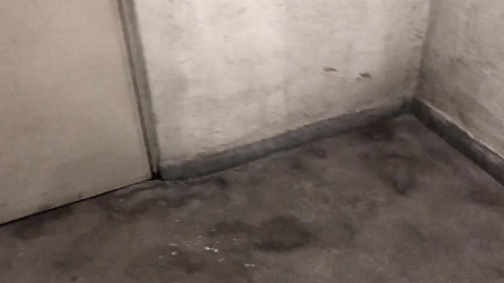 Public Flashing, Doggystyle, Fucking, Big Tits, Pussy Eating couplelovsexxx sex in car parking ManyVids