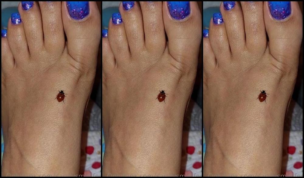 Mica Sandy Nicknamed Sandysmallfeet Onlyfans This Little Tickled Me Like Crazy So Cute