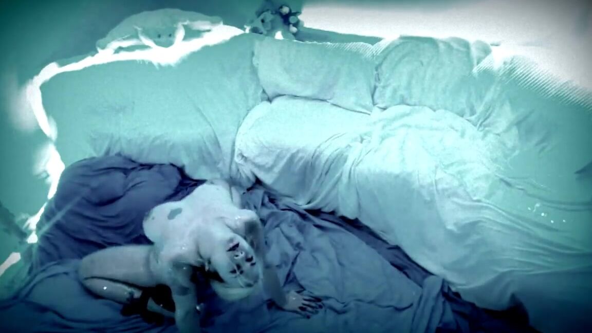 Anierotika Forever Enshrouded By Shade