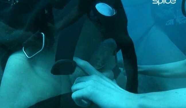 "Kathy Anderson, Sabina Barne, Sharka Blue, Jamie Brooks, Katy Caro, JemstoneBob Terminator, George Uhl, Oliver Sanchez, Alex Forte, Jj" Feature Private Tropical 26 Madagascar Private