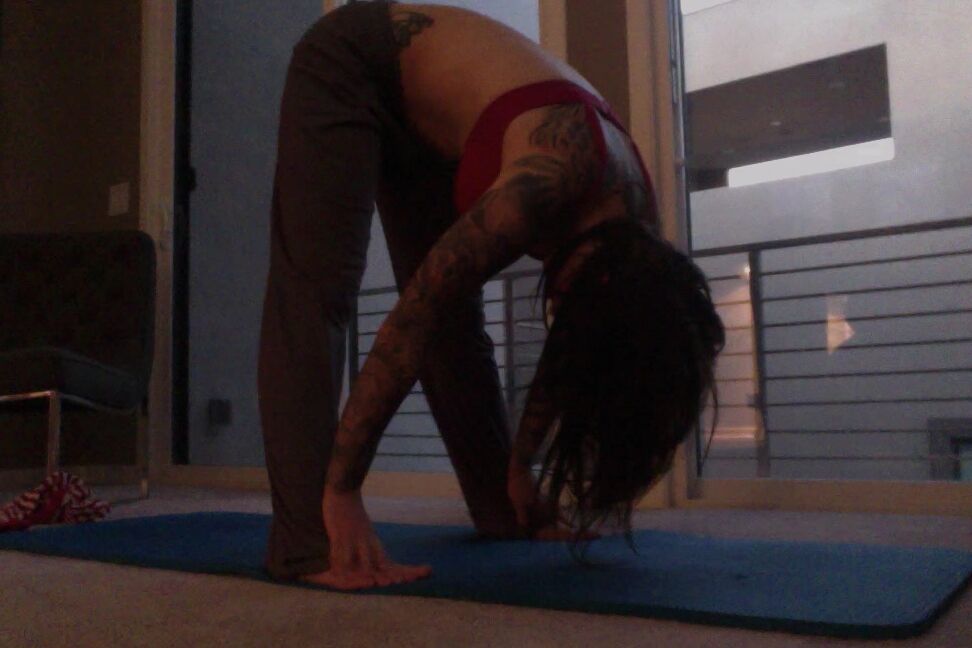 Felicity Feline Relaxing Yoga Video