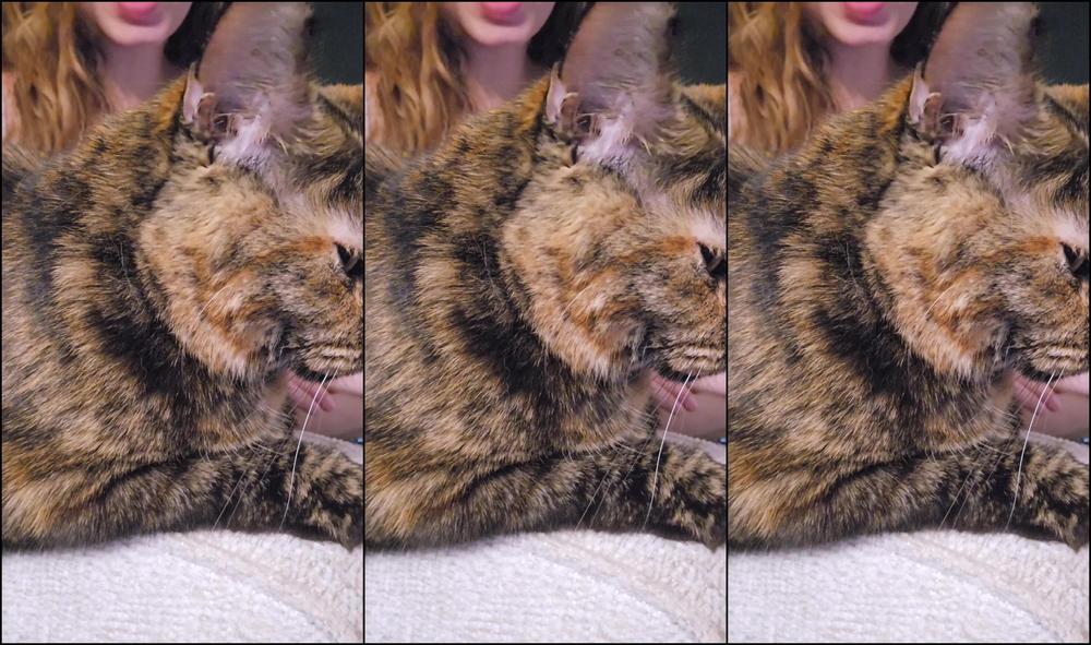 Your Submissive Doll 3301327186 05 02 2024 It S Been So Long Since I Went Through What My Kinks Are And I Thought It