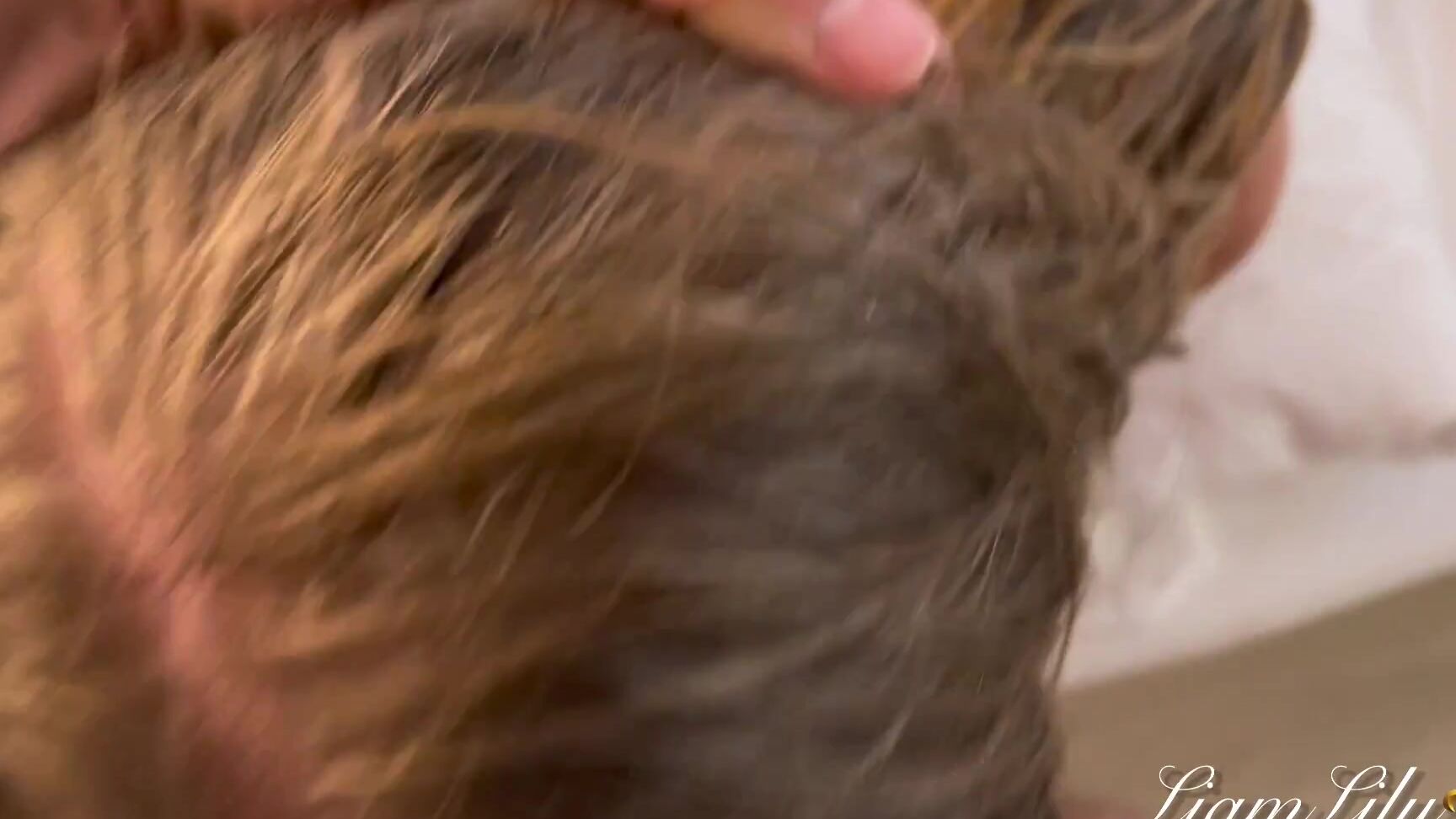 LiamLily Bad girl sexy shower with twerking before deeptroat and fuck Pornhub