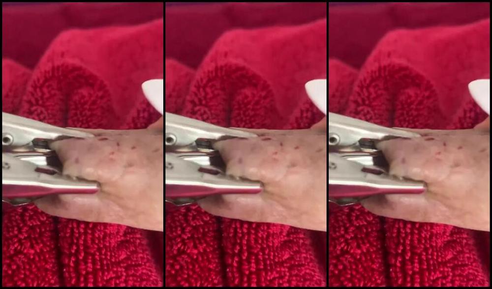 Ladydarkangeluk Onlyfans Look At How I Secured His Cock Yesterday Two Little Clips From The Session