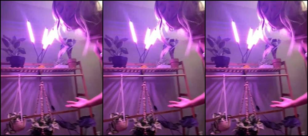 Suicidegirls Stream Started At Am Hi It S Sommerxbrooke Here Come Hang Out Chat