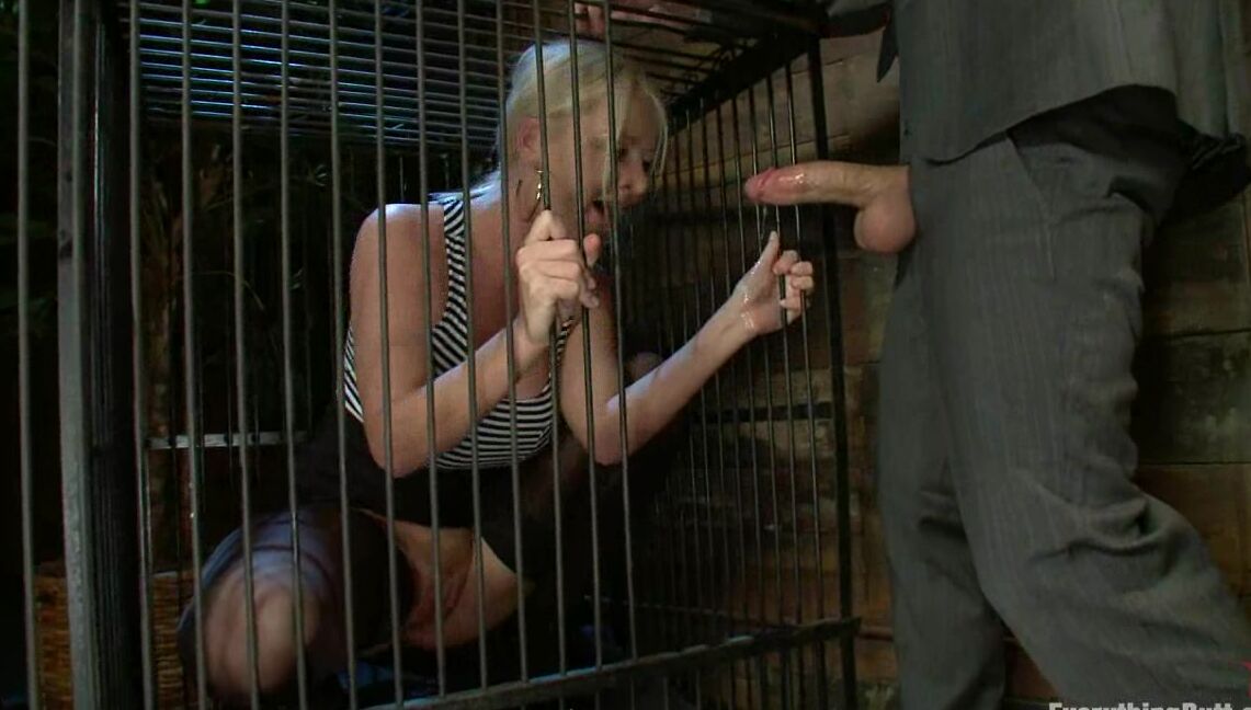 Hardcore, Anal, Fisting, All sex, Dildo Aug 17, 2010 - Anal Pounding Sophie Dee Kink