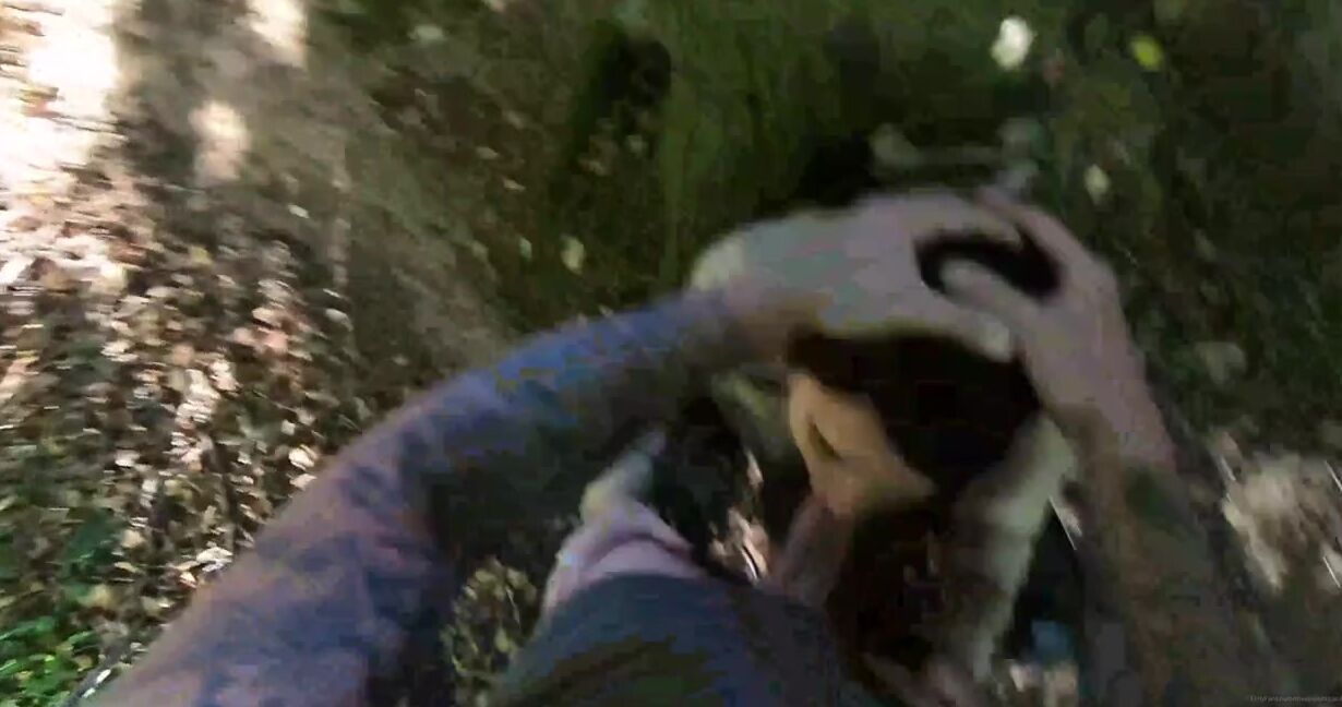 Ukmistressrose Nicknamed Theenglishrose3 Onlyfans Dark Nights Means Plenty Of Walks In The Woods