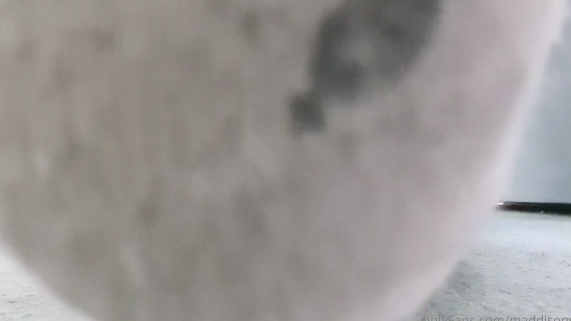 Maddison Spoilt Nicknamed Maddisonspoilt Onlyfans Sweaty Stinky Socks Sorry These Ones Have Already Been Bought If You Want Your Own Message Me