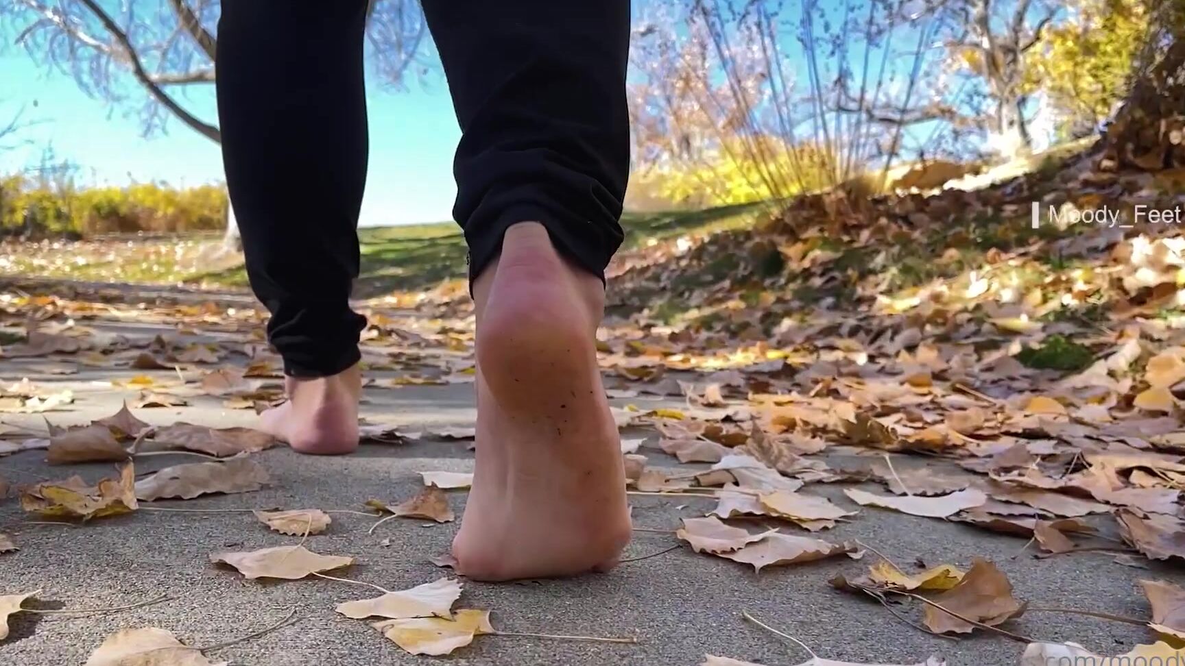 Moodyfeet Fall Is My Favorite I Love Feeling The Leaves Crunch Under My Feet
