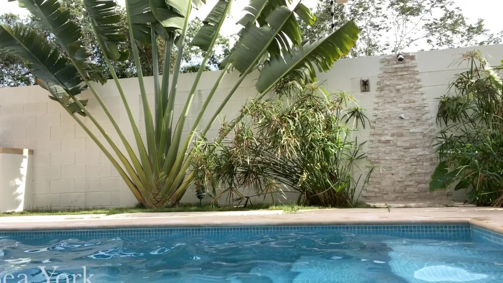 Beayork I Miss Sunny Days Like Real Ones And Pool Time