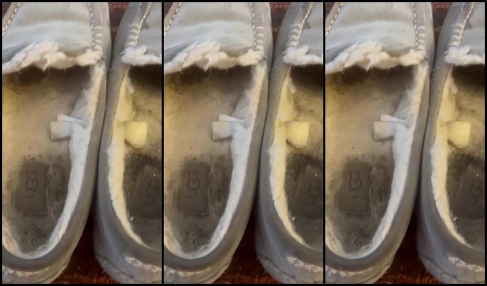 Goddessmonica00W Onlyfans Nasty Stinky Slippers Joip