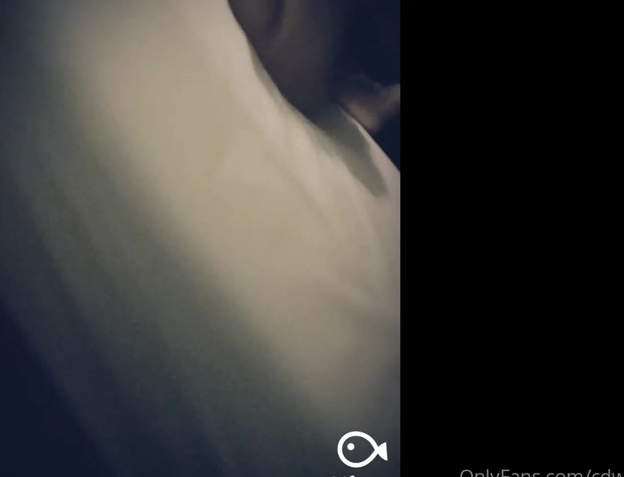 Cdwant Nd Long Term Editing