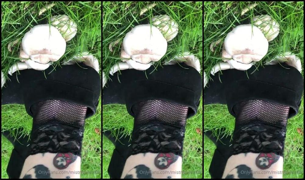 Miss Ruby Marks You Can T Take Us Anywhere Squishing Squashing Big Fat Mushrooms