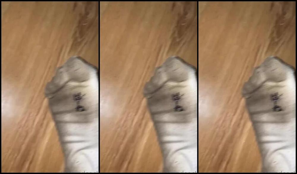 Emmysfeetandsocks Aka Emmyfeetandsocks Onlyfans Uhh Hell That Was A Very Good Day For My Socks Btw This Was Day 11 And Look At My Vans Insoles 3P