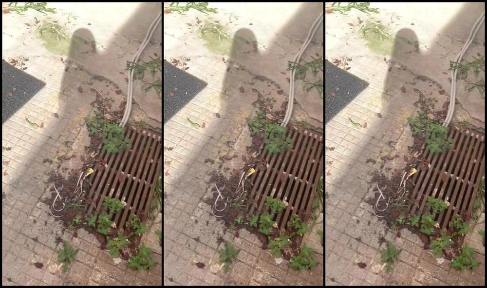 Mistress Gaia Y Sissy Is Coming To Clean Everything