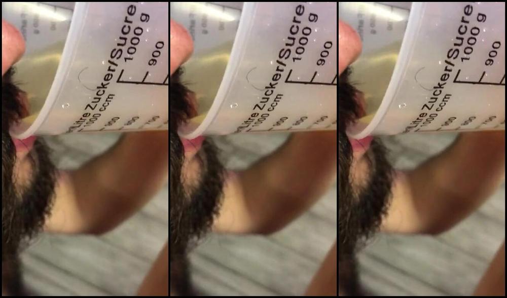 Mistress Gaia Toiletfetish Toilettraining Humiliation Femalesupremacy