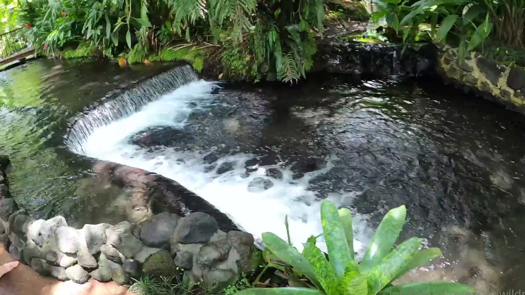 Naomiwildman Hola Mis Amigos My Trip To San Jose Was A Resounding Success Even Though I Confused The