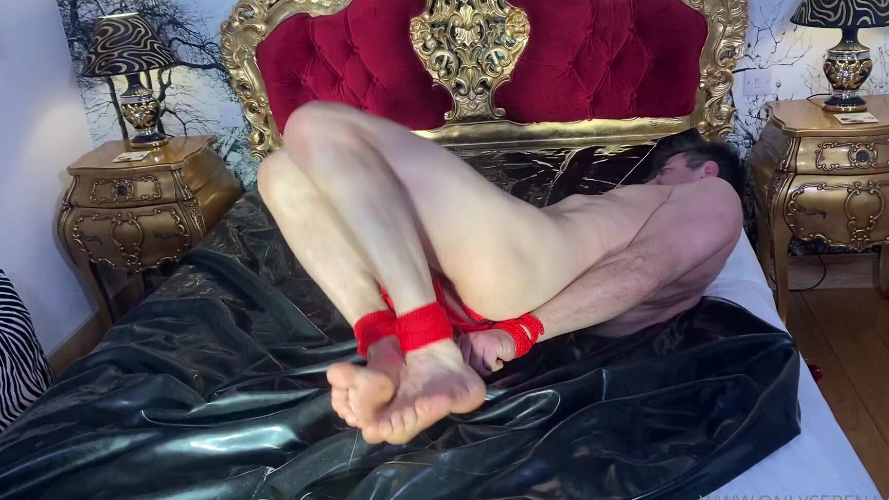 Goddess Gynarchy If Mistress Tells You To Move You Move Hog Tie Or